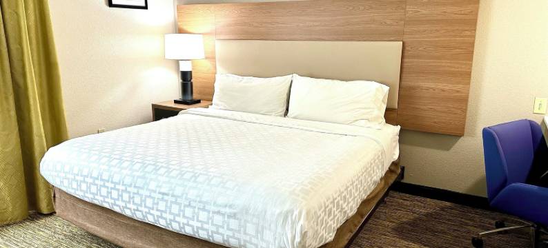 萨凡纳机场Candlewood Suites酒店, IHG旗下(Candlewood Suites Savannah Airport, an IHG Hotel)图片
