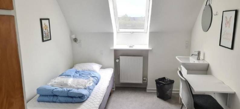 奥胡斯旅馆和酒店(Aarhus Hostel og Hotel)图片