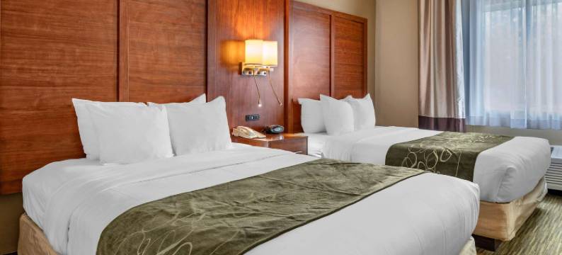 北部舒适套房酒店(Comfort Suites North)图片