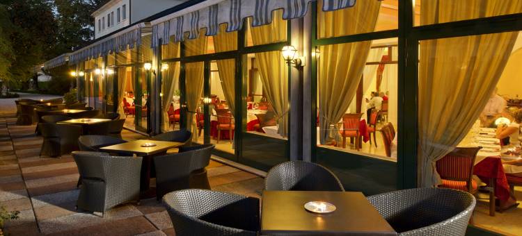 博洛涅塞佩斯别墅公园酒店(Villa Pace Park Hotel Bolognese)图片