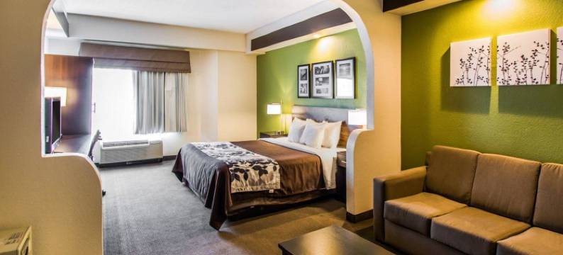 安眠套房酒店-奥兰多国际机场(Sleep Inn & Suites Orlando International Airport)图片