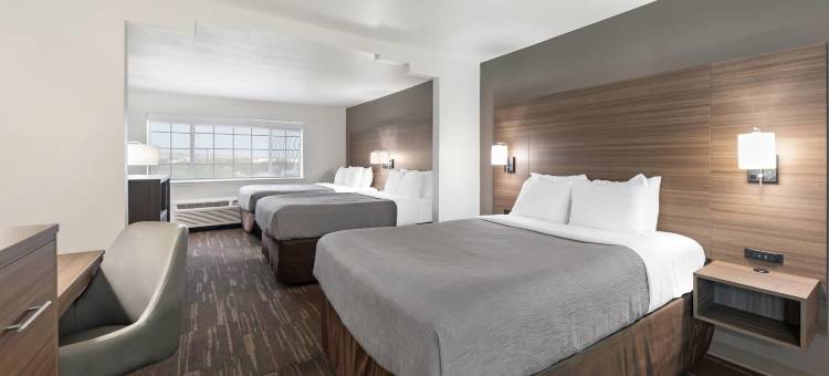 近海洋世界凯艺酒店-拉克兰(Quality Inn Near Seaworld - Lackland)图片