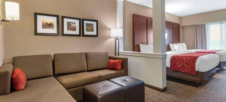 舒适套房酒店-曼海姆兰开斯特(Comfort Suites Manheim - Lancaster)图片