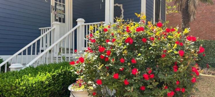 博蒙特之家(The Beaumont House Natchez)图片