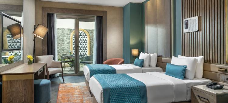 阿斯佩拉阿尔图尼扎德酒店(Aspera Hotel Altunizade)图片
