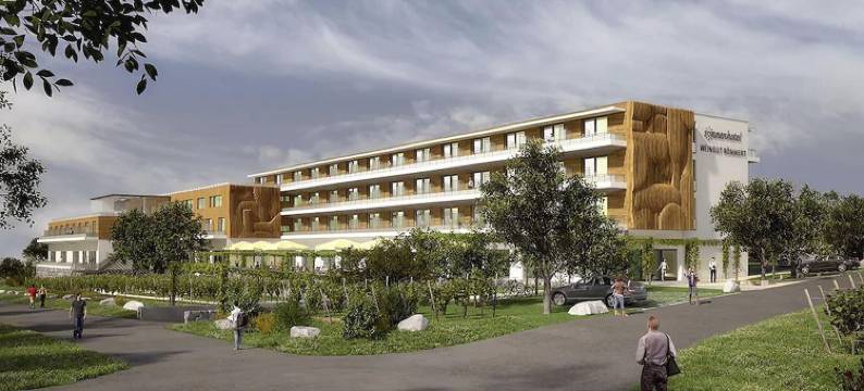 罗梅尔特索南酒庄酒店(Sonnenhotel Weingut Römmert Spa Und Wellness)图片