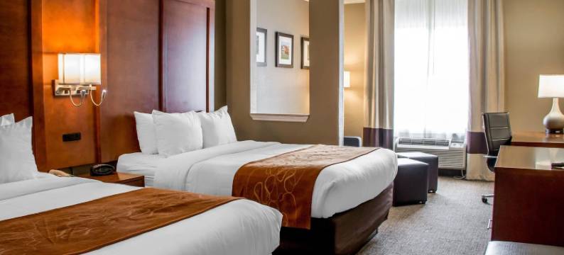 纽布朗费尔斯舒适套房酒店(Comfort Suites)图片