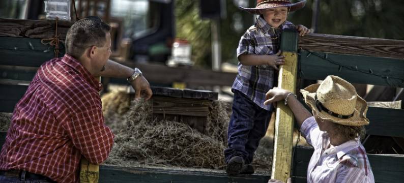 西门河牧场度假村(Westgate River Ranch Resort & Rodeo)图片
