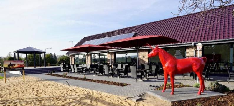 罗特艾尔霍恩精品酒店餐厅(Hotel-Restaurant Rotes Einhorn Düren)图片