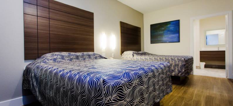 盖斯纳布鲁US-59宫殿旅馆(Palace Inn Blue US-59 & Gessner)图片