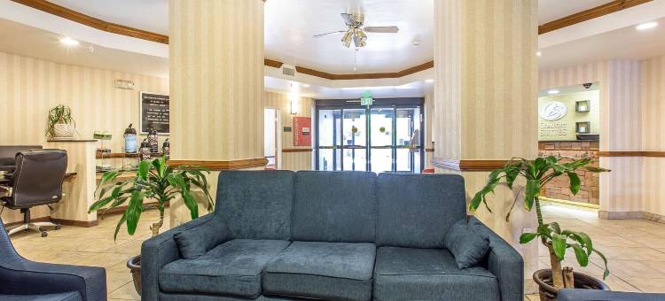 萨米特县舒适套房酒店(Comfort Suites Summit County)图片