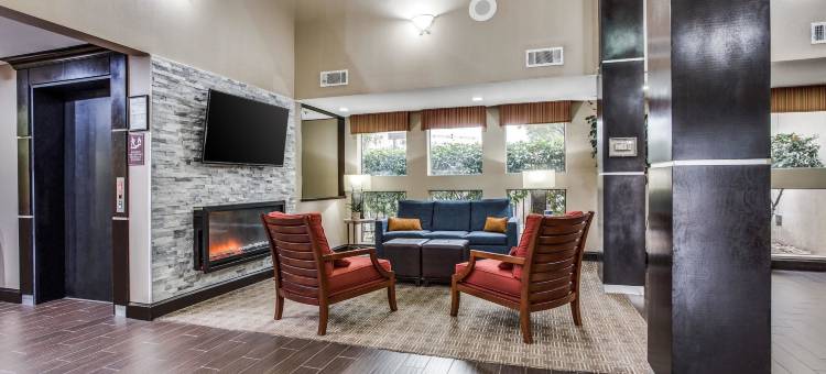 舒适酒店及套房-达拉斯市场中心(Comfort Inn & Suites Love Field-Dallas Market Center)图片