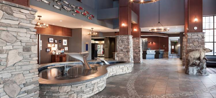 安克雷奇大使套房酒店(Embassy Suites by Hilton Anchorage)图片