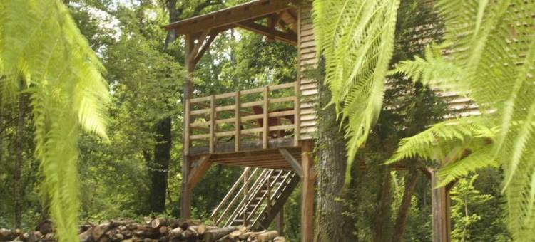 洛雷 SPA 生态小屋旅馆(Ecolodges de Loire & Spa)图片