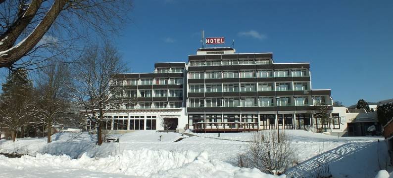 奥斯贝格公园酒店(Parkhotel Olsberg)图片