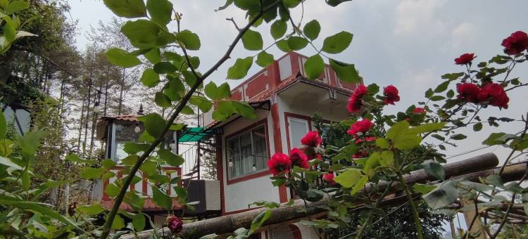 天堂山酒店(Hotel Mount Paradise)图片