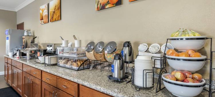 舒适套房酒店(Comfort Inn & Suites)图片