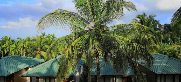 雨林度假村(Rainforest Resort)图片