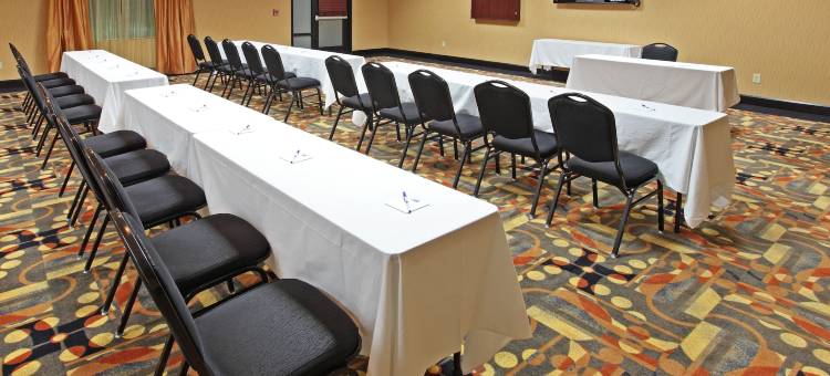 智选假日套房酒店特克萨卡纳东(Holiday Inn Express & Suites Texarkana East)图片