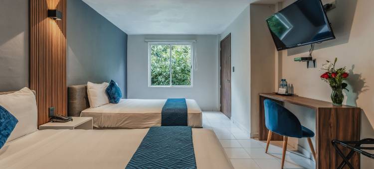 卡萨诺瓦梅尼达酒店(Hotel Casa Nova, Merida)图片