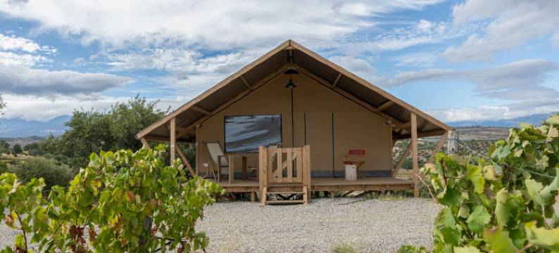 瑟拉古伊门塔城堡酒店(Castello di Serragiumenta)图片