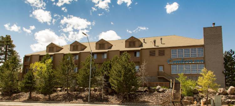 I-17&I-40号舒适酒店(Comfort Inn I-17 & I-40)图片