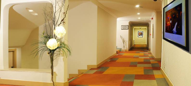 SV商务酒店(SV Business Hotel Diyarbakır)图片