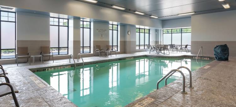 威廉斯维尔斯漫步水牛城酒店，希尔顿启缤精选(The Mosey Buffalo Williamsville, Tapestry Collection by Hilton)图片