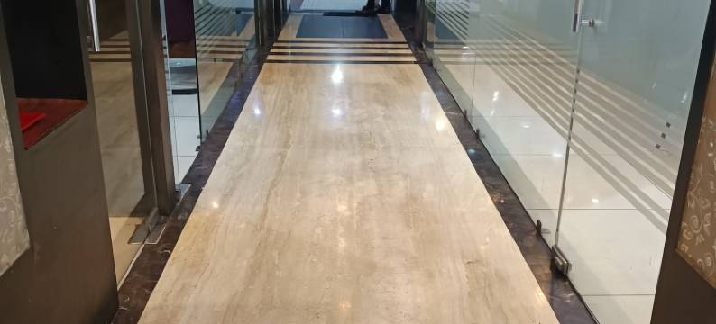 萨图格旅馆(Hotel Satyug Inn)图片