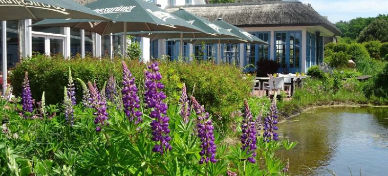 卡斯塔尼恩阿莱乡村酒店(Landhotel Kastanienallee Putbus)图片