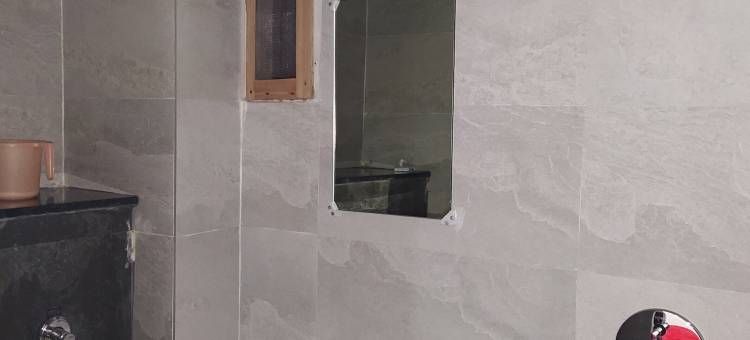 拉贾宫酒店(Hotel the Raja Palace)图片