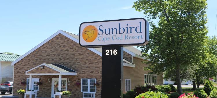 阳鸟科德角度假村(Sunbird Cape Cod Resort)图片