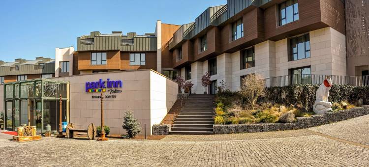 伊斯坦布尔机场丽柏酒店(Park Inn by Radisson Istanbul Airport, Odayeri)图片