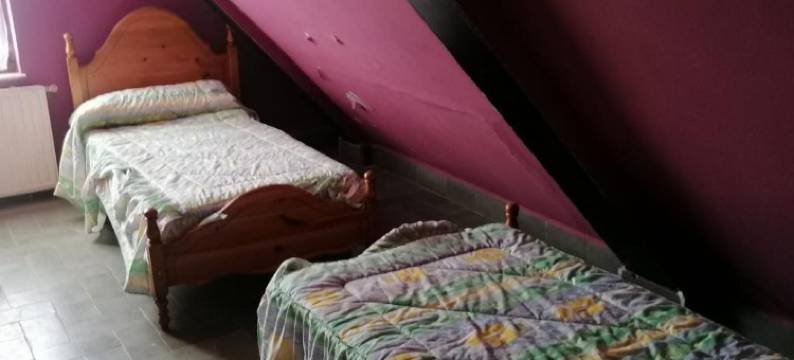 你好阿斯图尔绿色(Hello Astur Green)图片