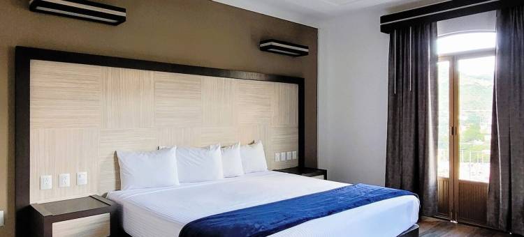 帕塞奥德拉普雷萨酒店(Hotel Paseo de la Presa)图片