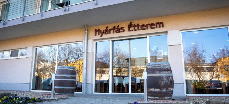 瑟皮亚生物和艺术酒店(Szépia Bio and Art Hotel)图片