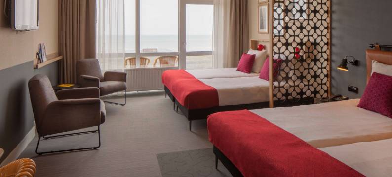 诺德韦克海滩的两兄弟(Two Brothers Noordwijk Beach)图片