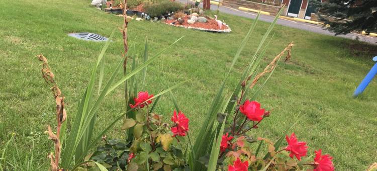 大熊旅馆(Big Bear Lodge)图片