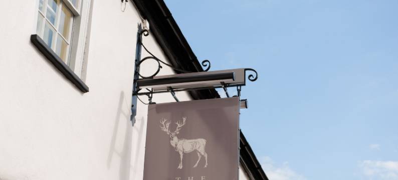 欧弗顿白鹿酒店(The White Hart, Overton)图片