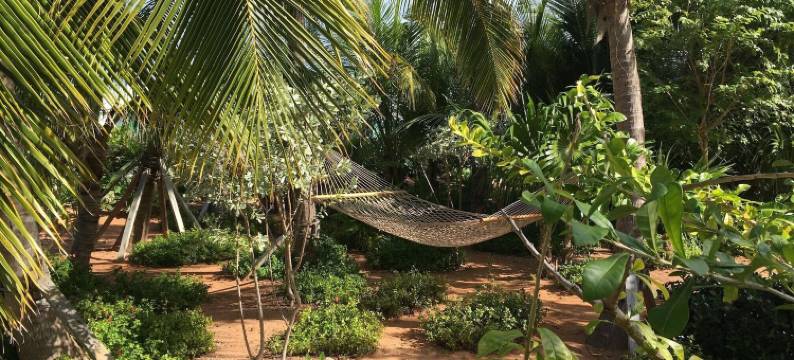 西班牙威尔士游艇天堂酒店(Spanish Wells Yacht Haven)图片