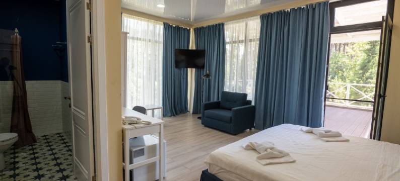 谢科维蒂利布克斯酒店(Buxus Hotel Shekvetili)图片