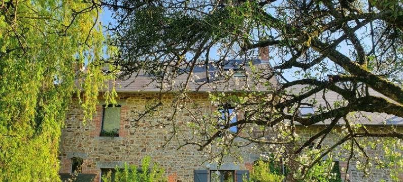 梦想种子旅馆(Graine de Reves)图片