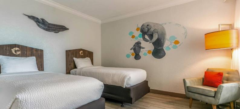 清水湾海豚沙滩Ascend精选酒店(Dolphin Sands Clearwater Beach, Ascend Hotel Collection)图片