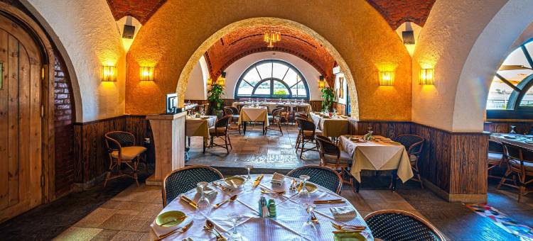 阿斯旺索尼斯塔努巴酒店(Sonesta Nouba Hotel Aswan)图片