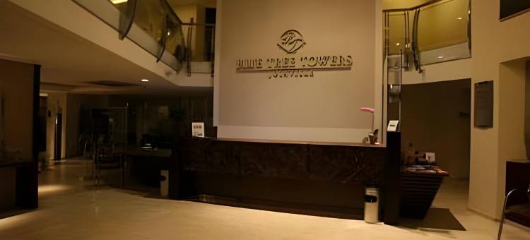 儒万维尔蓝树塔酒店(Blue Tree Towers Joinville)图片
