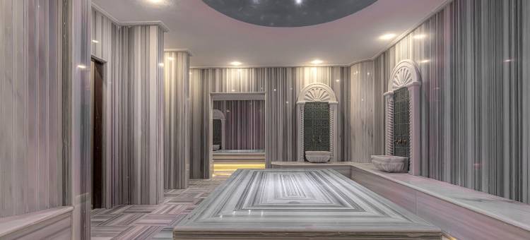 拉里斯通套房温泉酒店(Laristone Suite Spa Hotel)图片
