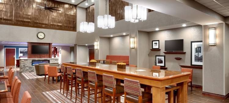 波卡特洛欢朋套房酒店(Hampton Inn & Suites Pocatello)图片