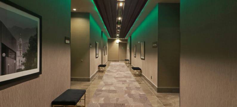 蒙特雷欧比斯帕多希尔顿花园酒店(Hilton Garden Inn Monterrey Obispado)图片