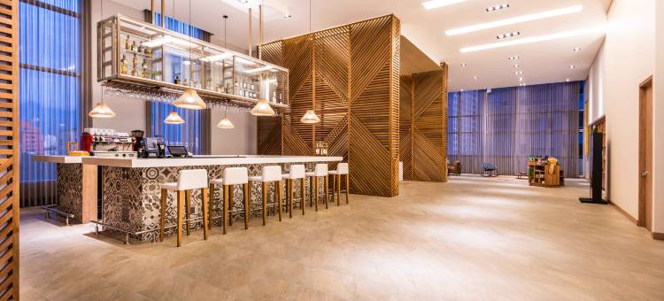 圣马尔塔希尔顿花园酒店(Hilton Garden Inn Santa Marta)图片