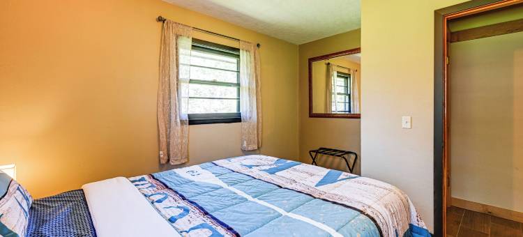 现场冰钓：尼库萨湖滨之家！(Ice Fishing on-Site Waterfront Nekoosa Home!)图片